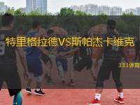 特里格拉德VS斯帕杰卡維克