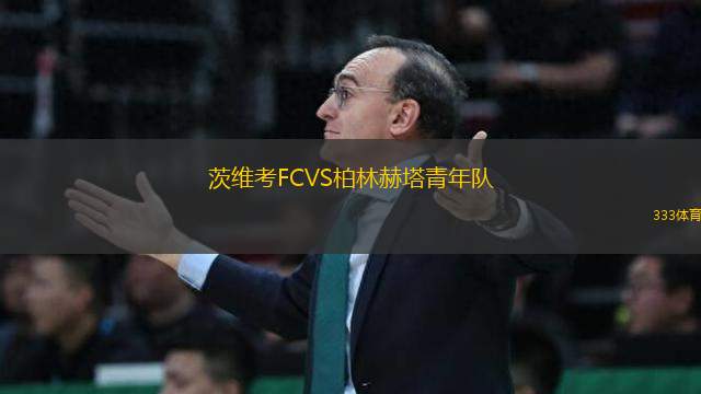 茨維考FCVS柏林赫塔青年隊