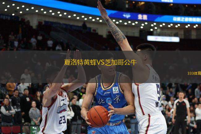 夏洛特黃蜂VS芝加哥公牛