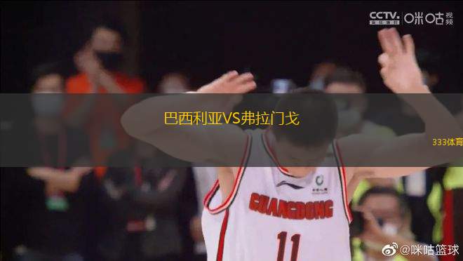 巴西利亞VS弗拉門(mén)戈