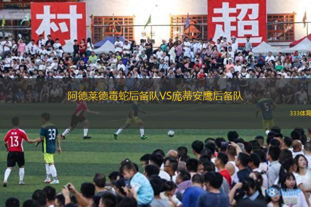 阿德萊德毒蛇后備隊VS龐蒂安鷹后備隊