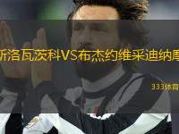 斯洛瓦茨科VS布杰約維采迪納摩