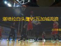 堪培拉白頭鷹VS瓦加城流浪