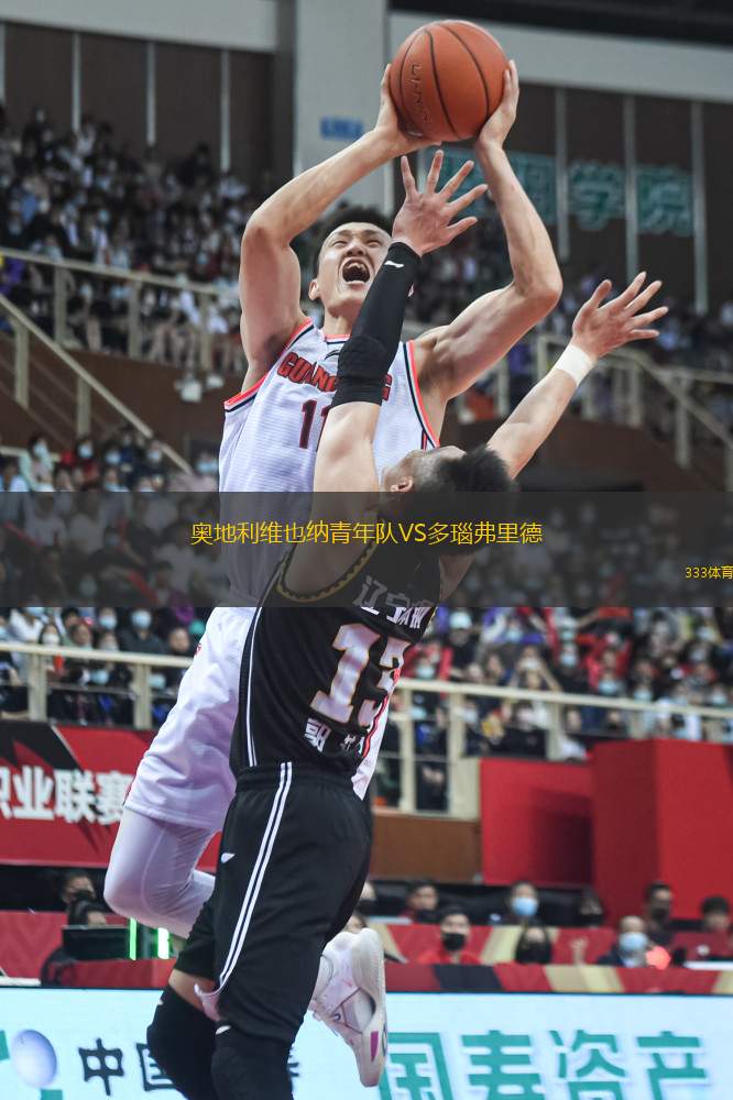 奧地利維也納青年隊VS多瑙弗里德