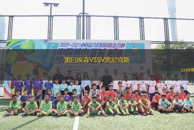 黑白埃森VSSV索尼克斯