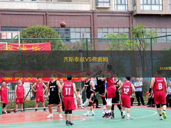 齊斯泰茲VS弗雷姆