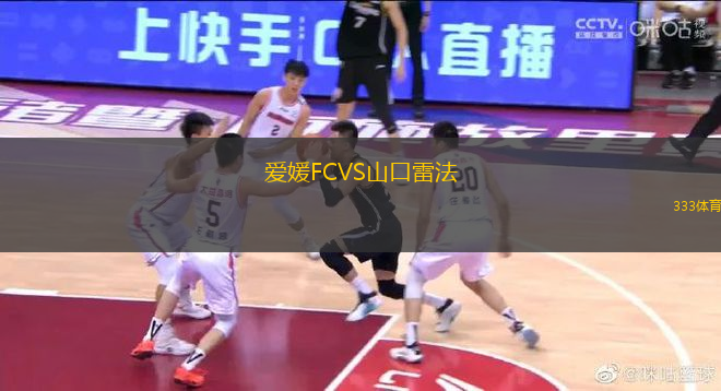 愛(ài)媛FCVS山口雷法
