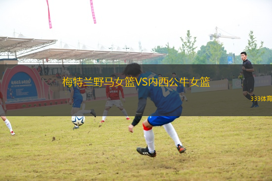 梅特蘭野馬女籃VS內西公牛女籃